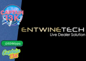 EntwineTech กับเว็บ captain13k